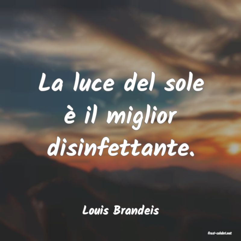 frasi di  Louis Brandeis
