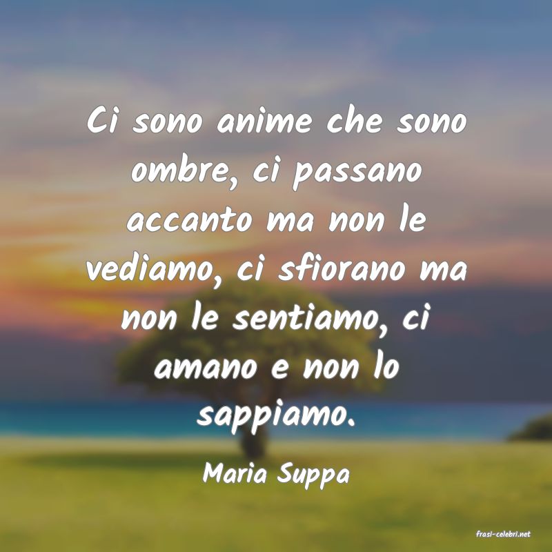 frasi di  Maria Suppa
