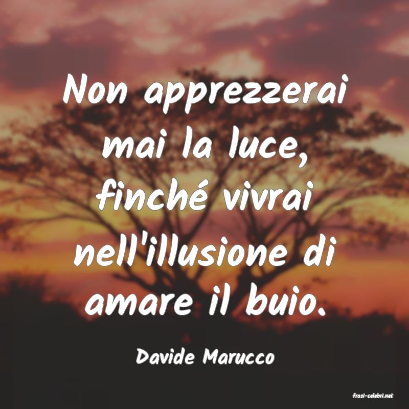 frasi di  Davide Marucco
