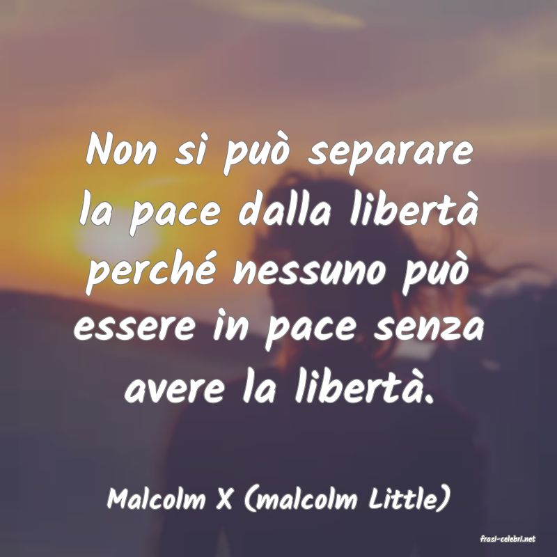frasi di Malcolm X (malcolm Little)
