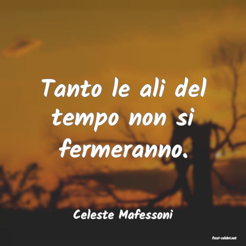 frasi di  Celeste Mafessoni
