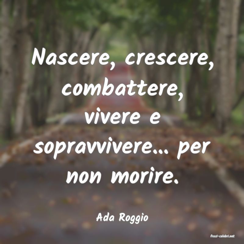 frasi di Ada Roggio