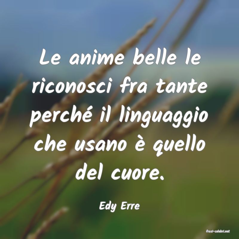 frasi di  Edy Erre
