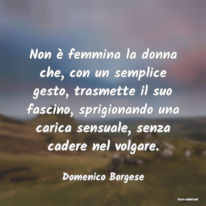 frasi di  Domenico Borgese
