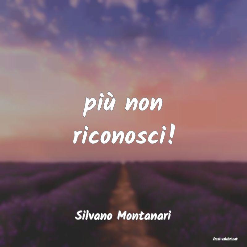 frasi di  Silvano Montanari
