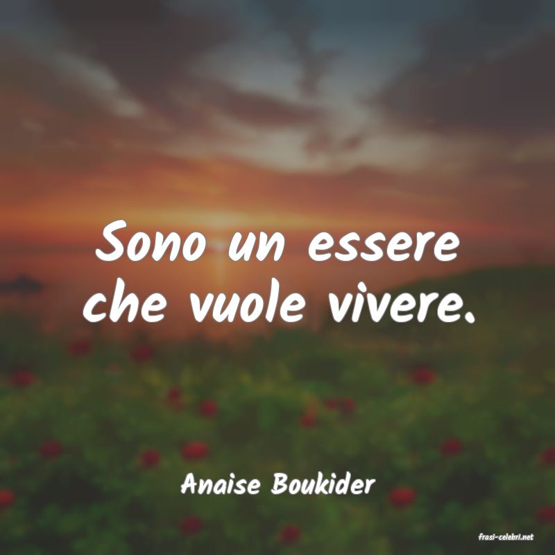 frasi di  Anaise Boukider
