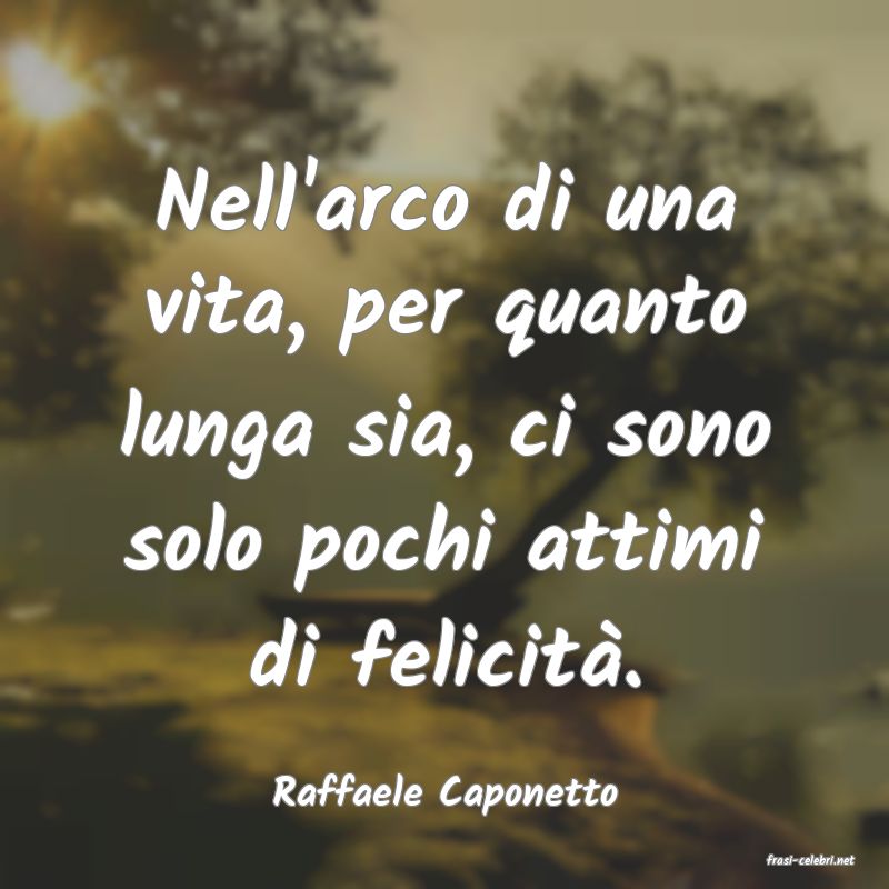 frasi di Raffaele Caponetto