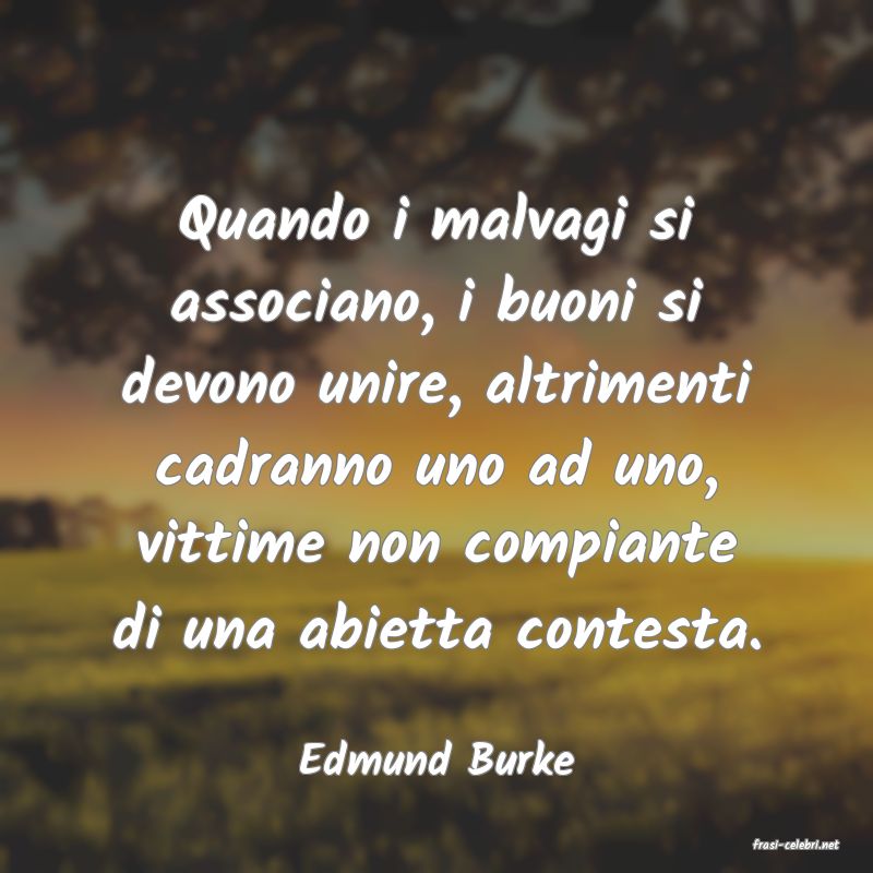 frasi di  Edmund Burke

