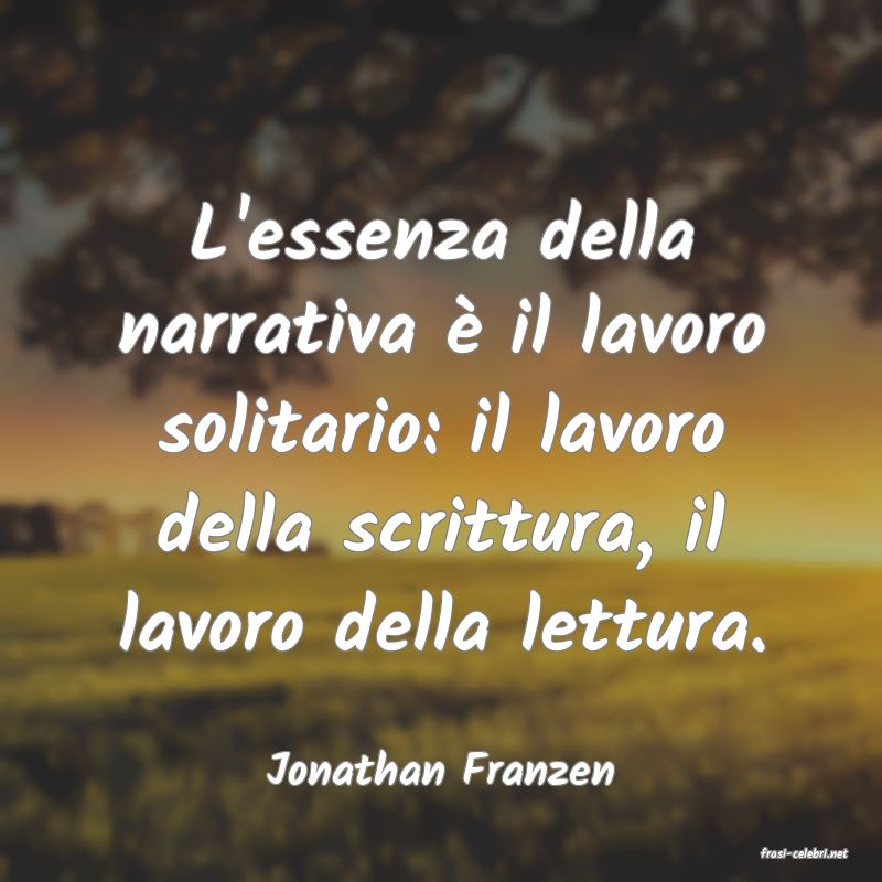 frasi di  Jonathan Franzen
