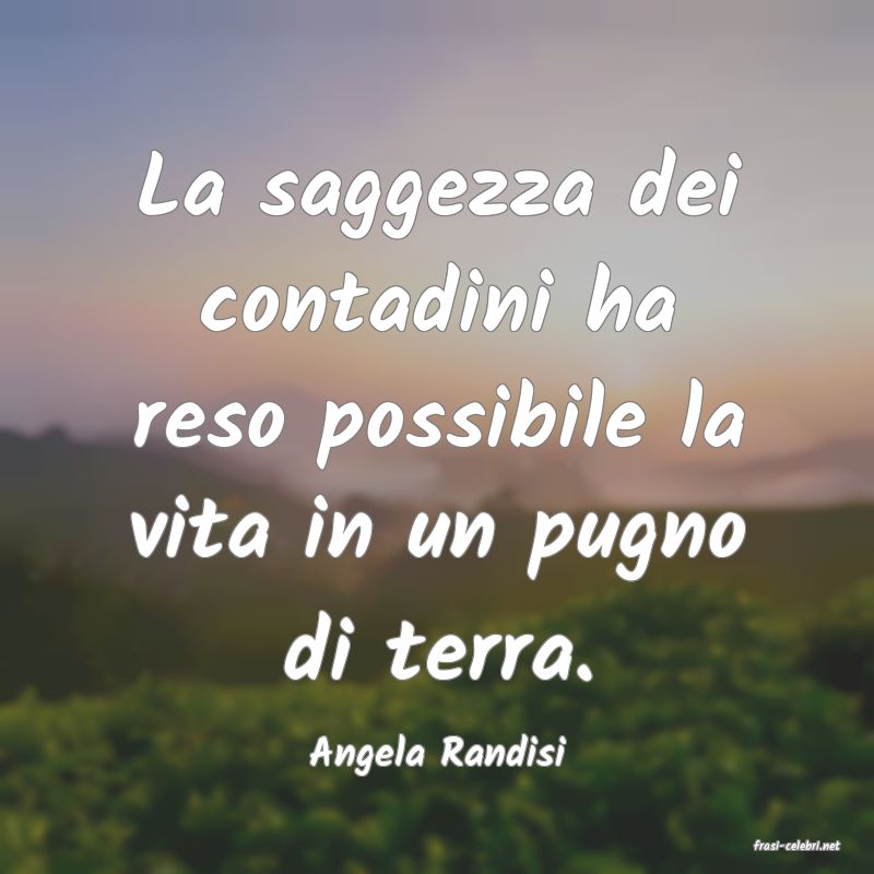 frasi di  Angela Randisi
