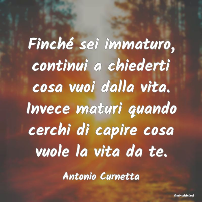 frasi di  Antonio Curnetta
