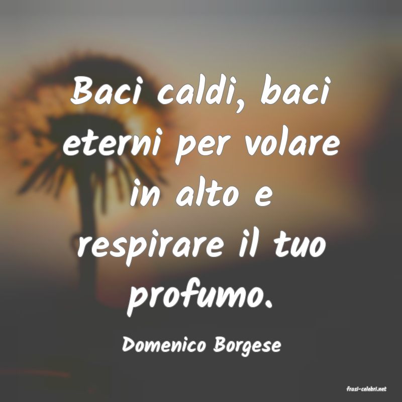 frasi di  Domenico Borgese
