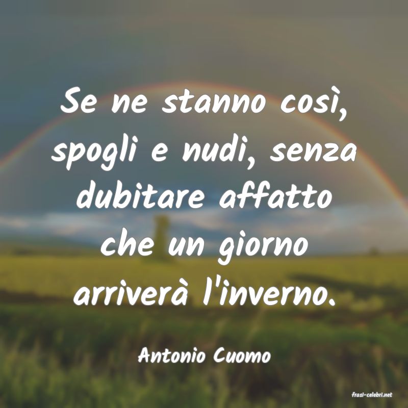 frasi di  Antonio Cuomo
