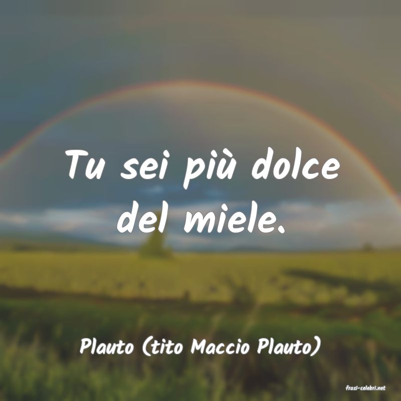 frasi di  Plauto (tito Maccio Plauto)
