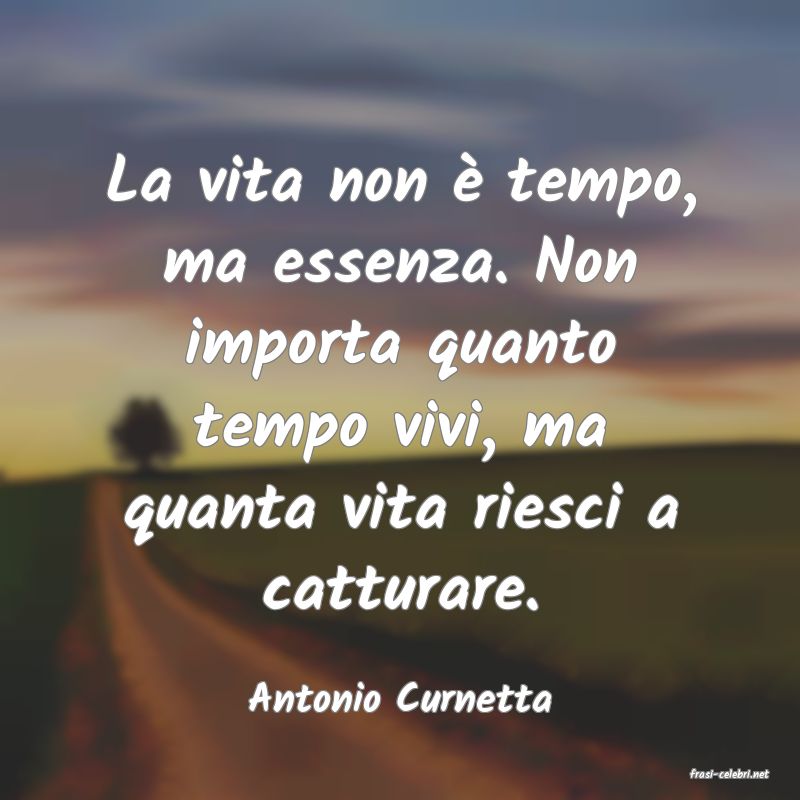 frasi di  Antonio Curnetta
