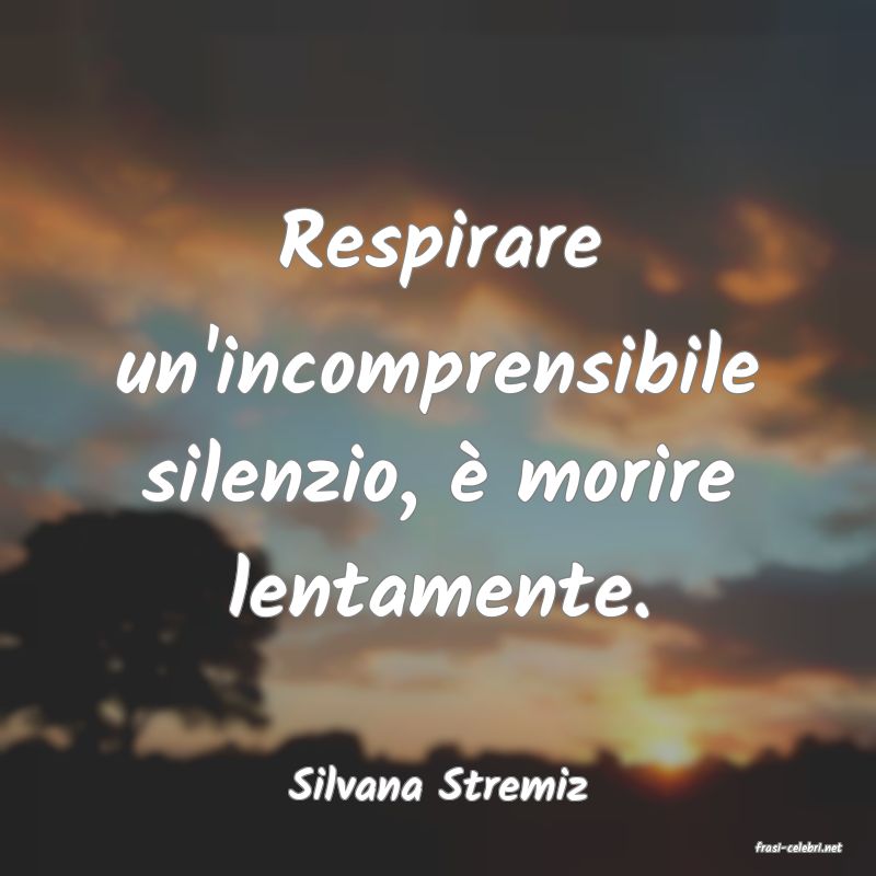 frasi di Silvana Stremiz
