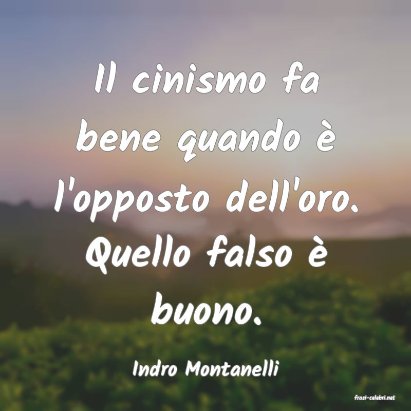 frasi di Indro Montanelli