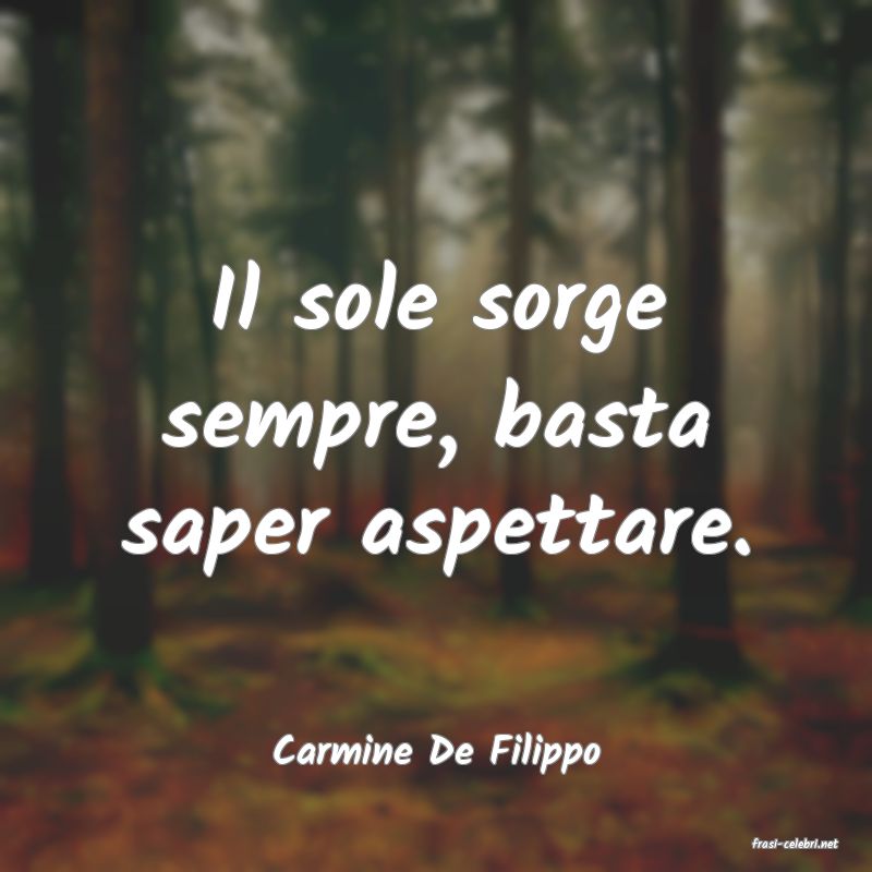 frasi di  Carmine De Filippo
