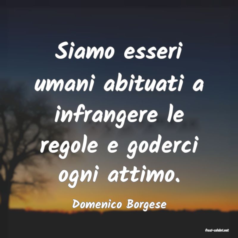 frasi di  Domenico Borgese
