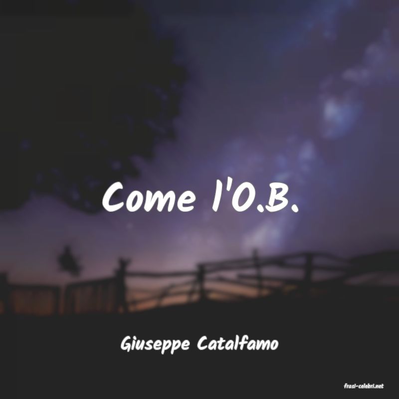 frasi di  Giuseppe Catalfamo
