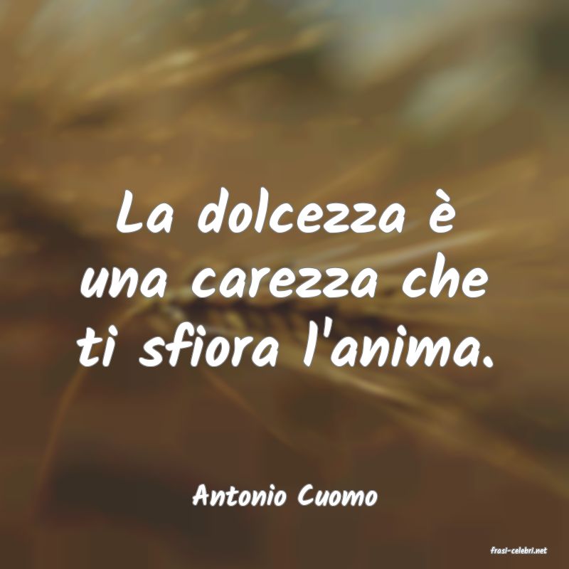 frasi di  Antonio Cuomo
