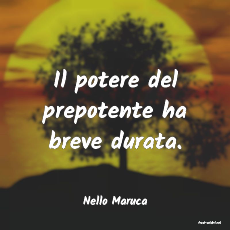 frasi di  Nello Maruca
