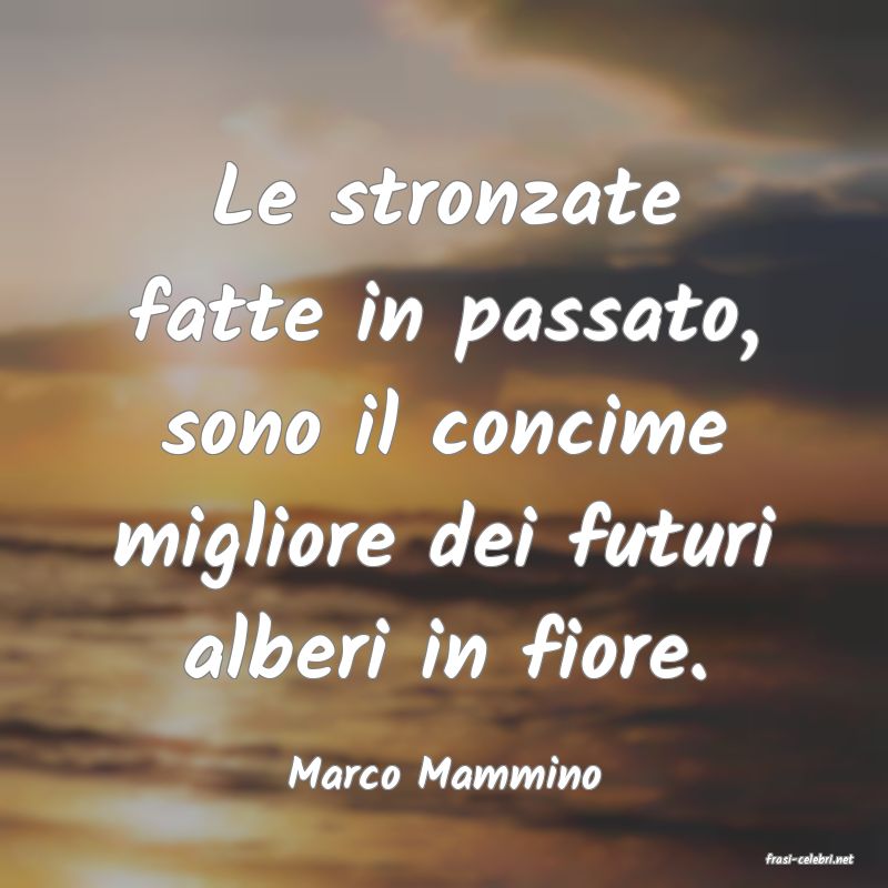 frasi di  Marco Mammino
