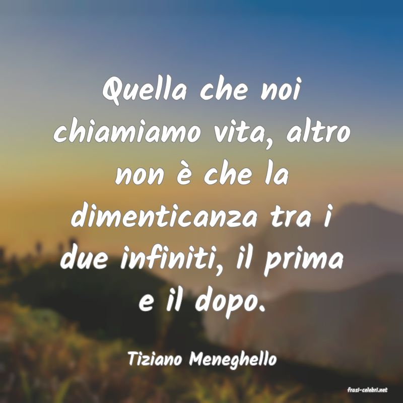 frasi di Tiziano Meneghello