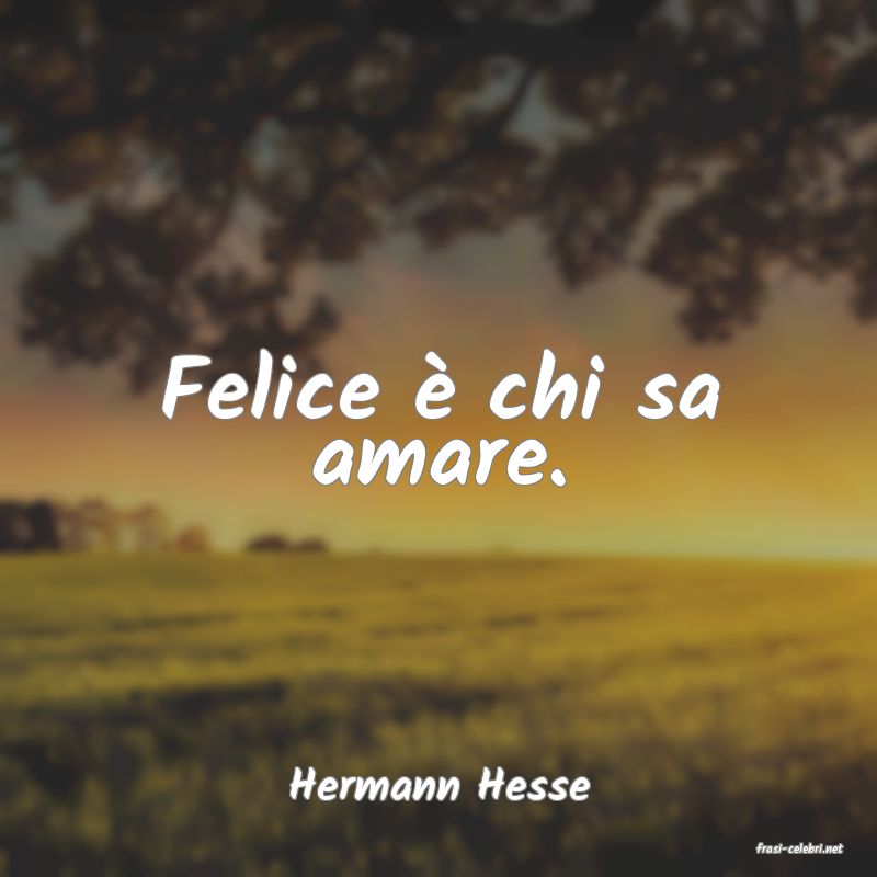 frasi di Hermann Hesse