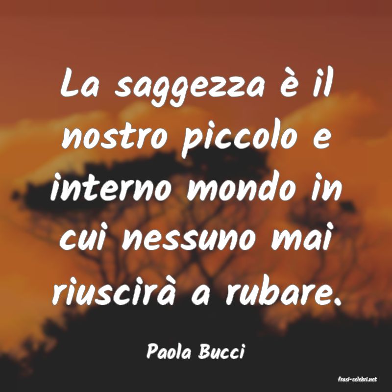 frasi di Paola Bucci