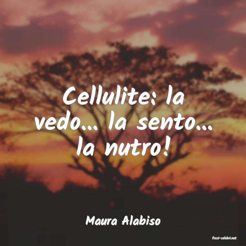 frasi di Maura Alabiso