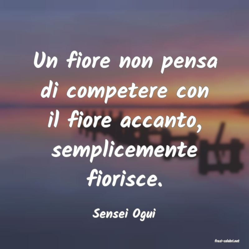 frasi di  Sensei Ogui
