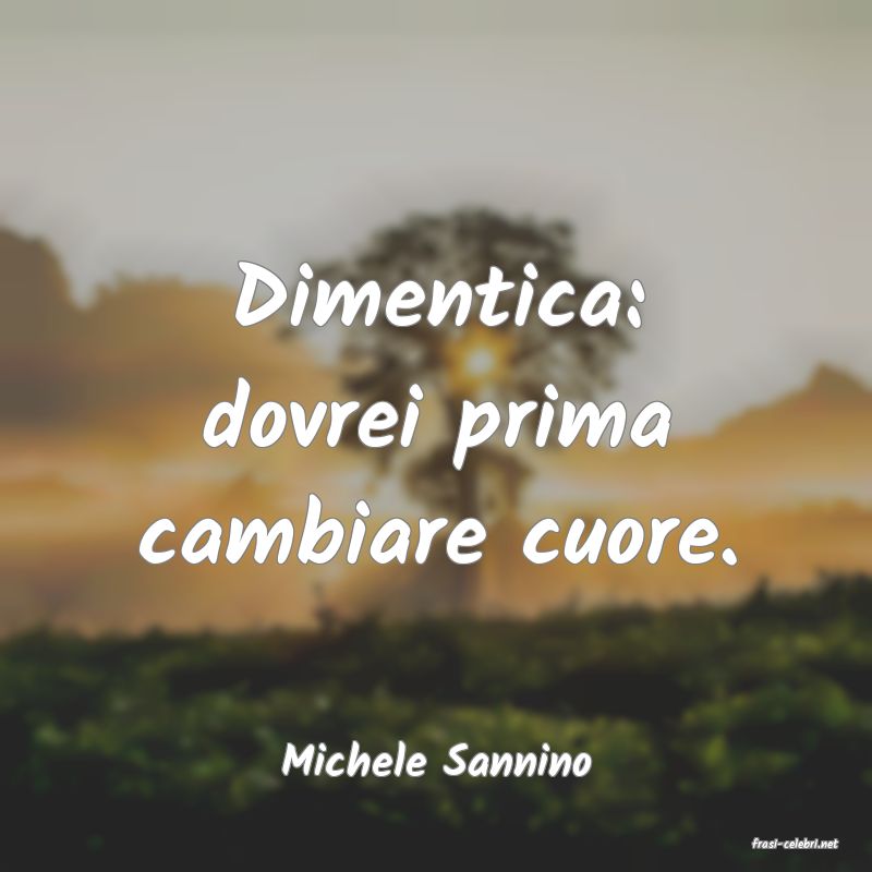 frasi di  Michele Sannino
