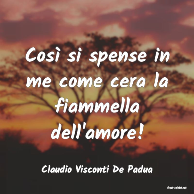 frasi di  Claudio Visconti De Padua
