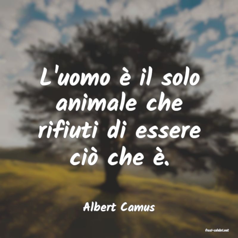 frasi di  Albert Camus
