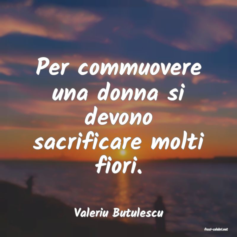 frasi di Valeriu Butulescu