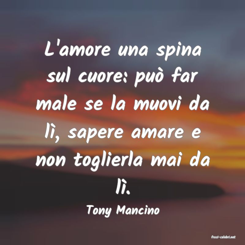 frasi di  Tony Mancino
