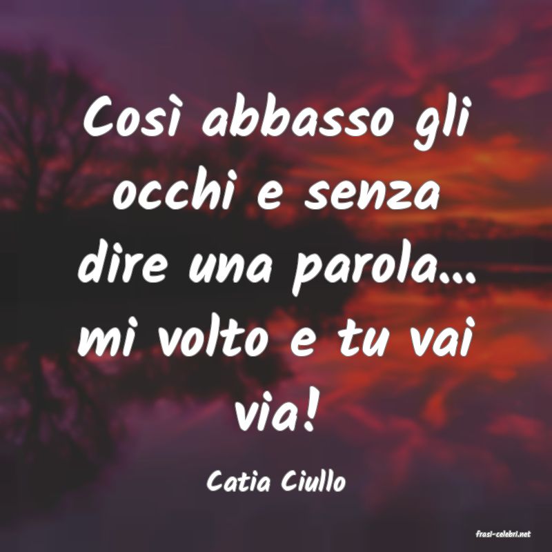 frasi di  Catia Ciullo
