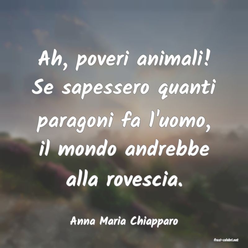 frasi di Anna Maria Chiapparo