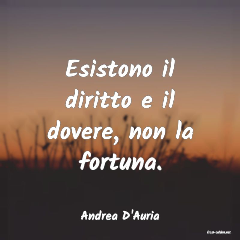frasi di Andrea D'Auria