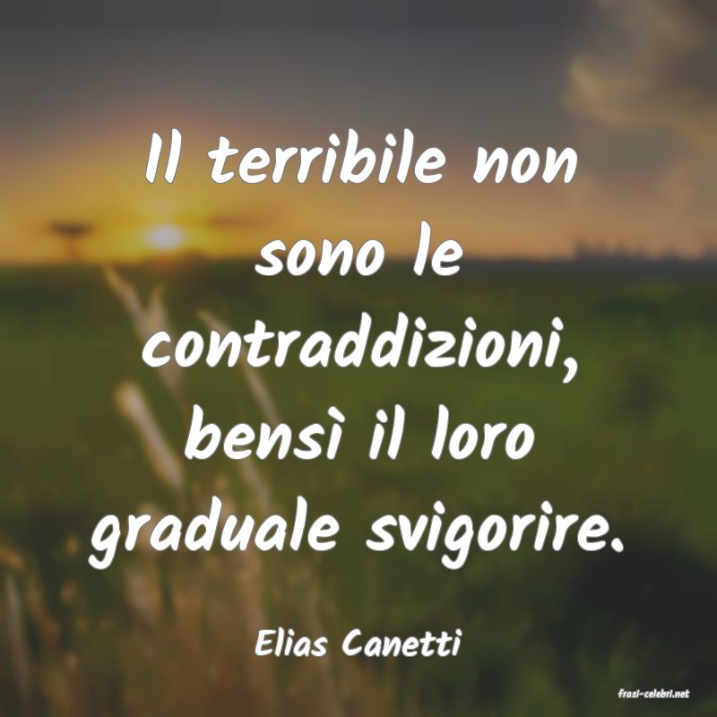 frasi di Elias Canetti