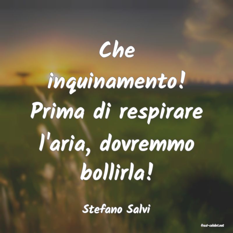 frasi di Stefano Salvi