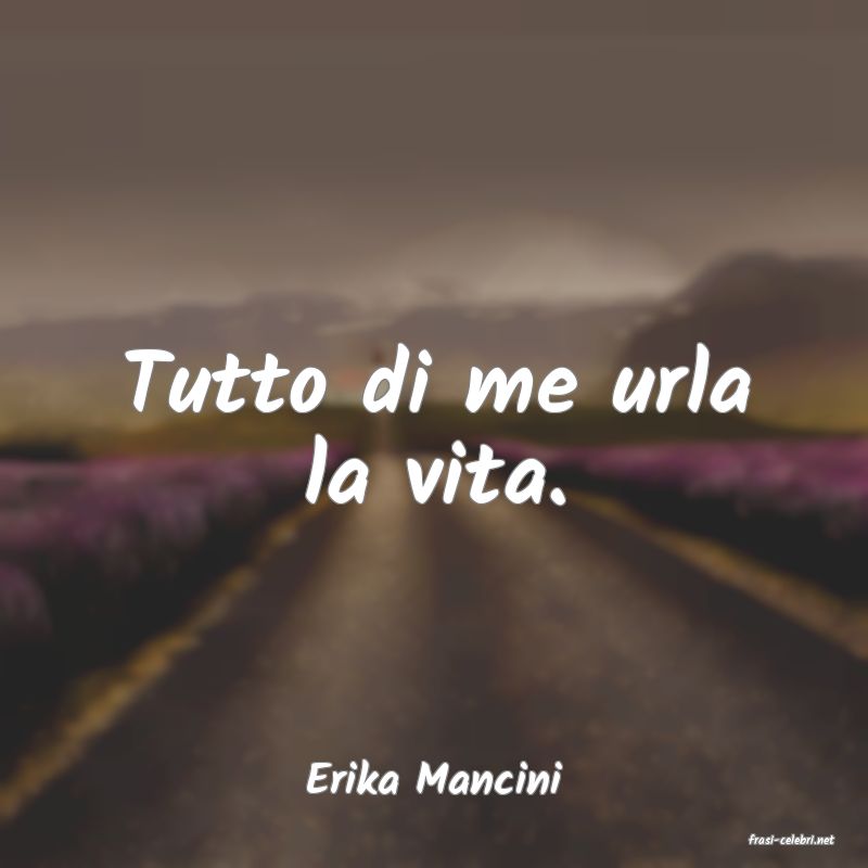 frasi di Erika Mancini
