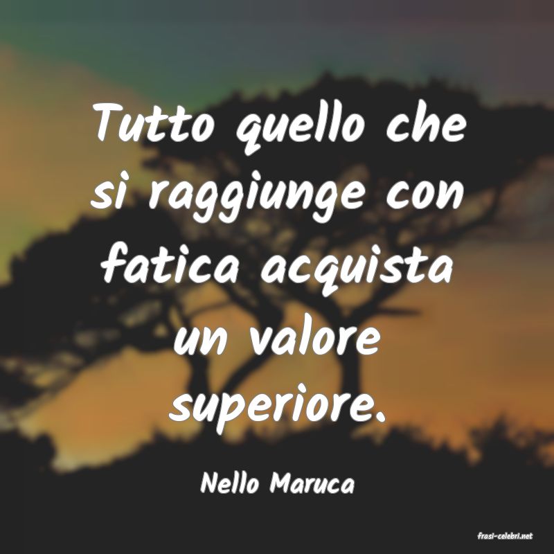 frasi di  Nello Maruca
