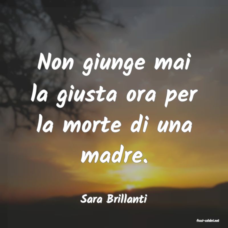 frasi di  Sara Brillanti
