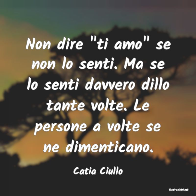 frasi di  Catia Ciullo
