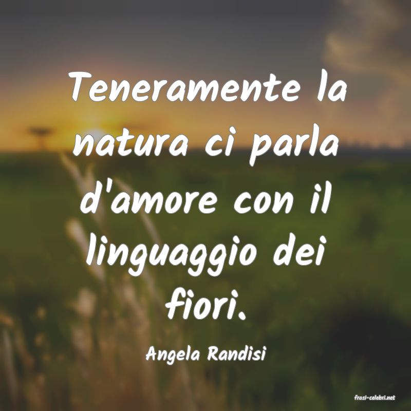 frasi di  Angela Randisi
