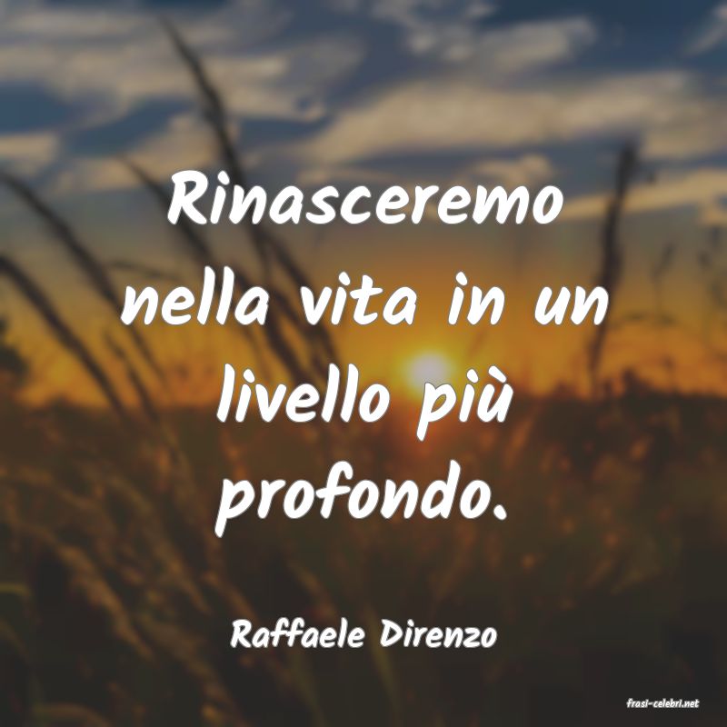 frasi di  Raffaele Direnzo
