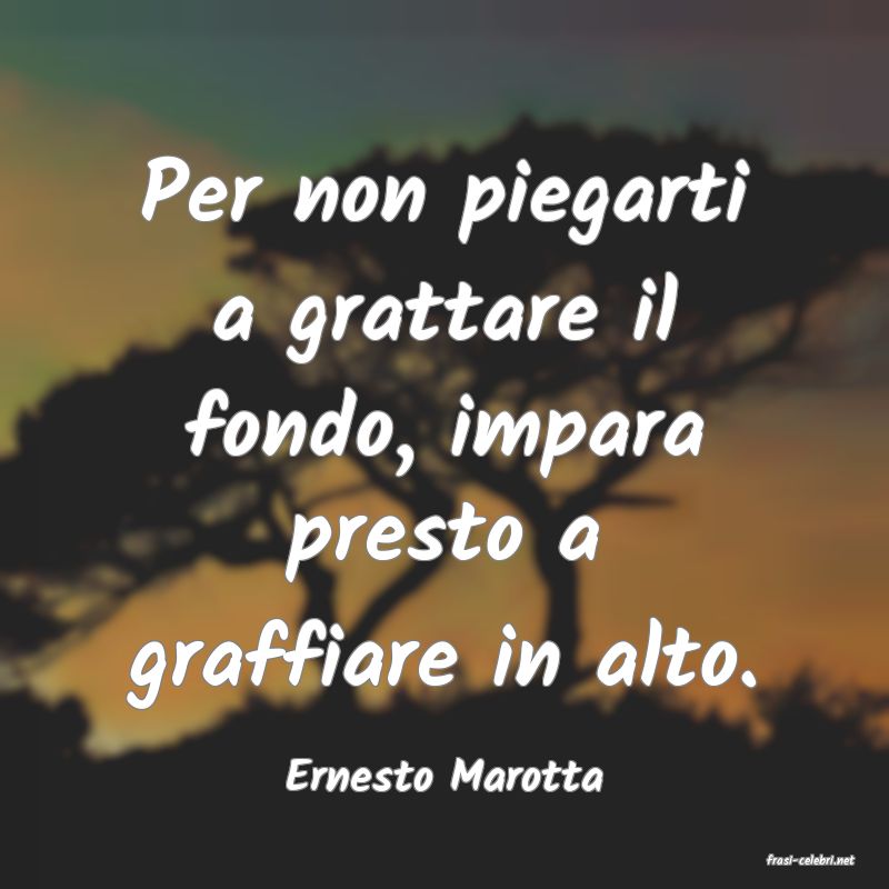 frasi di  Ernesto Marotta
