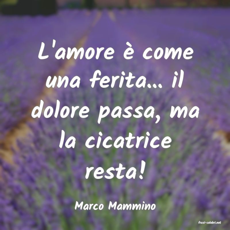 frasi di Marco Mammino